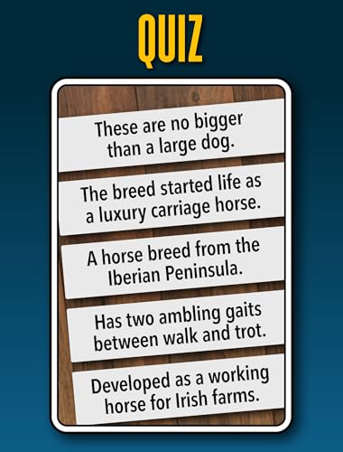 SMART CARDS Horses & Ponies