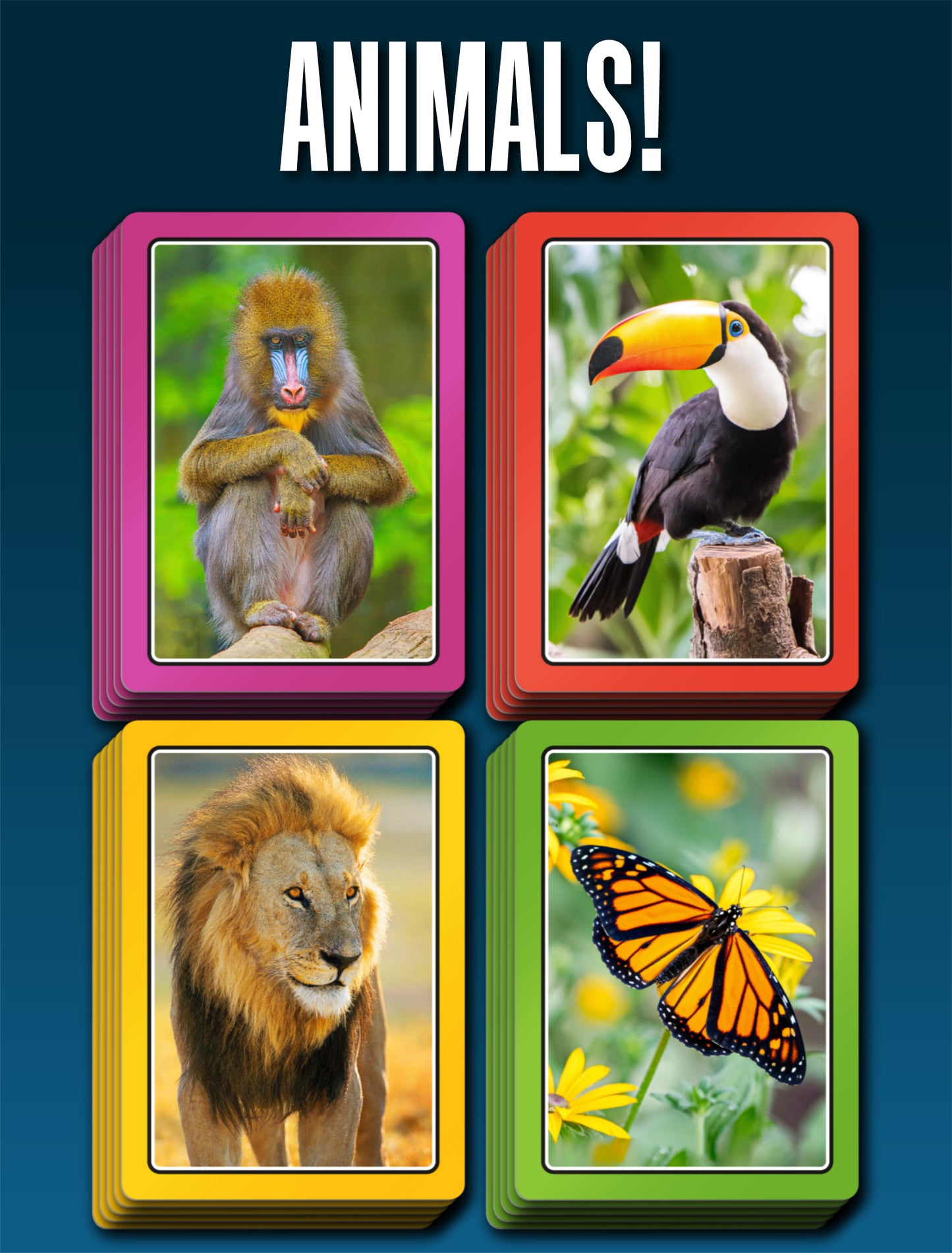 SMART CARDS Animals