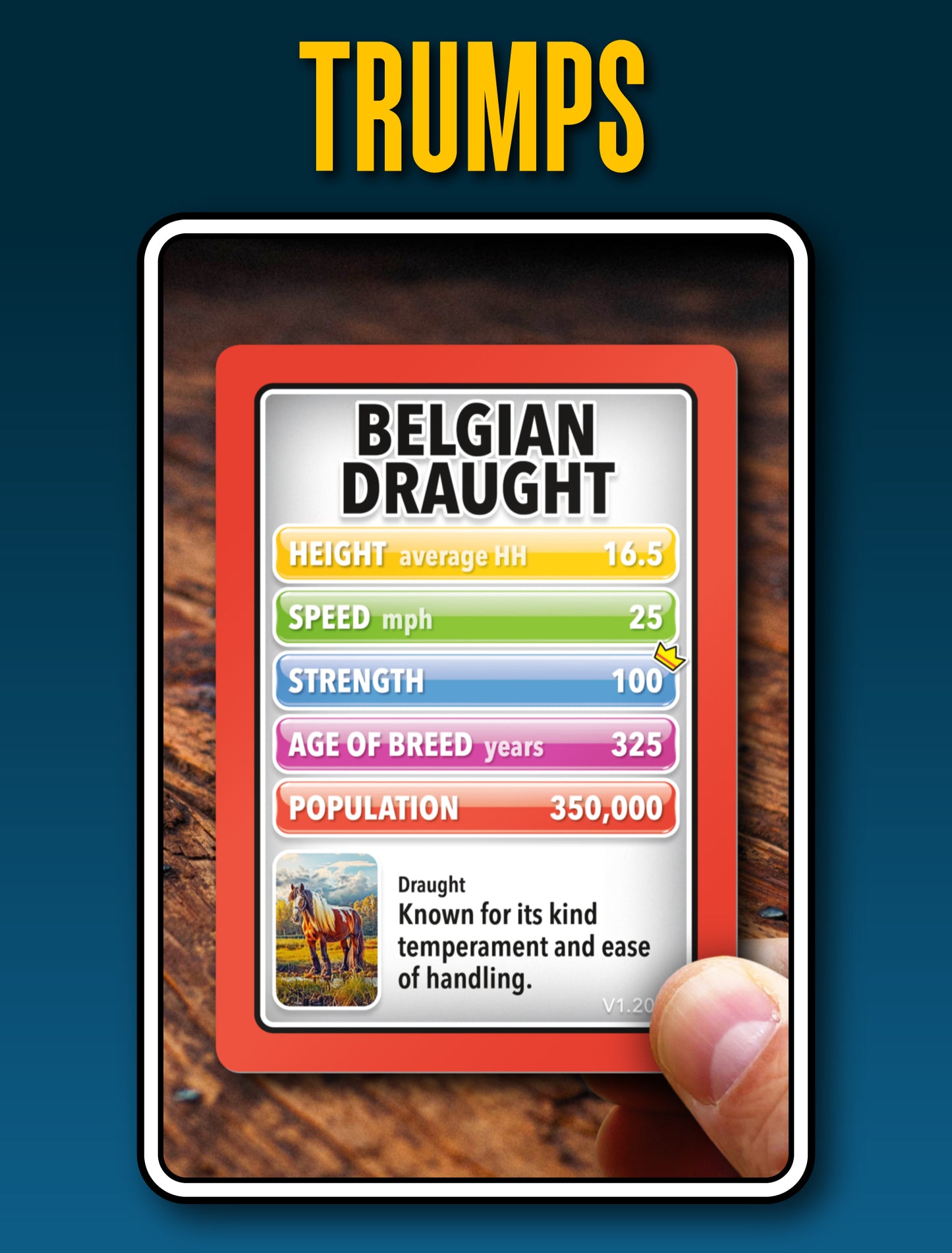 SMART CARDS Horses & Ponies