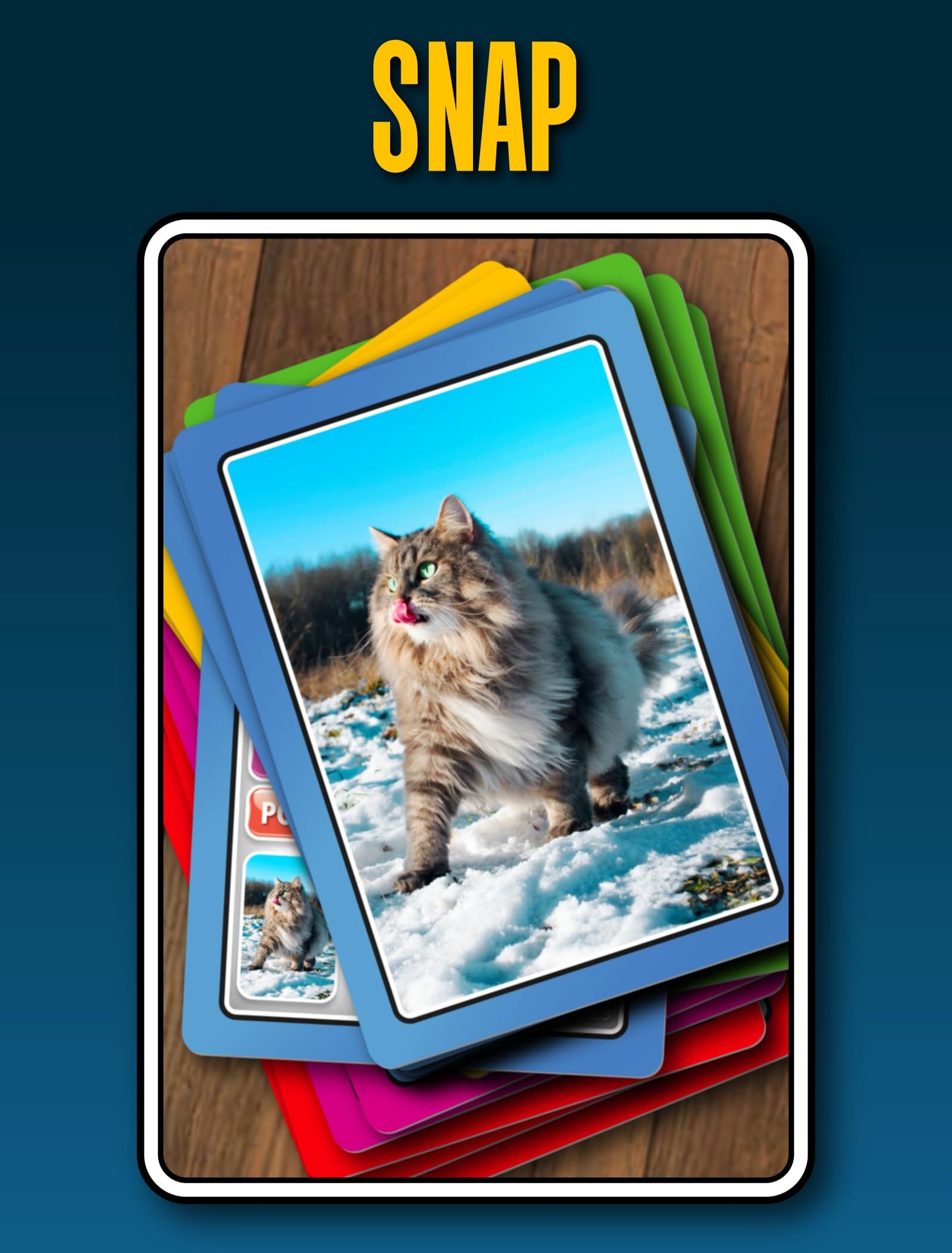SMART CARDS Cats
