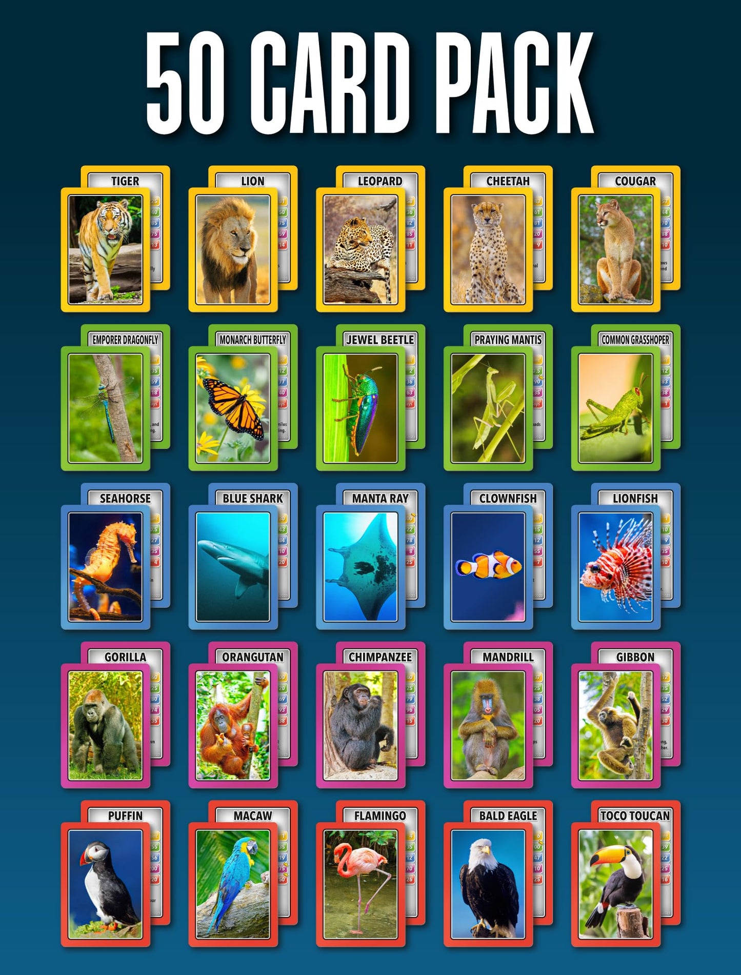 SMART CARDS Animals