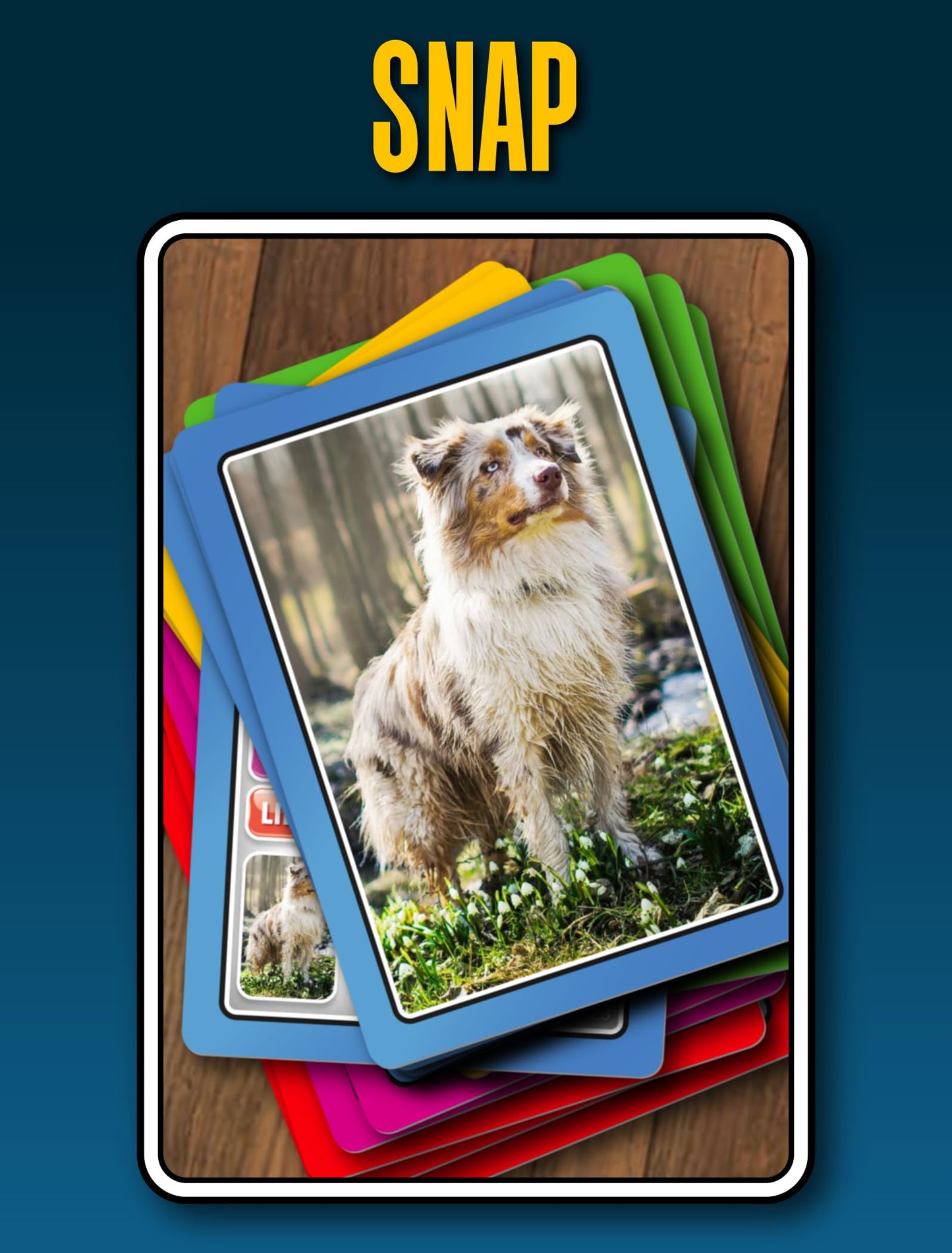 SMART CARDS Dogs
