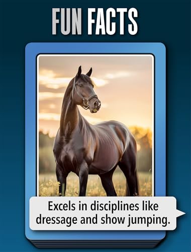 SMART CARDS Horses & Ponies