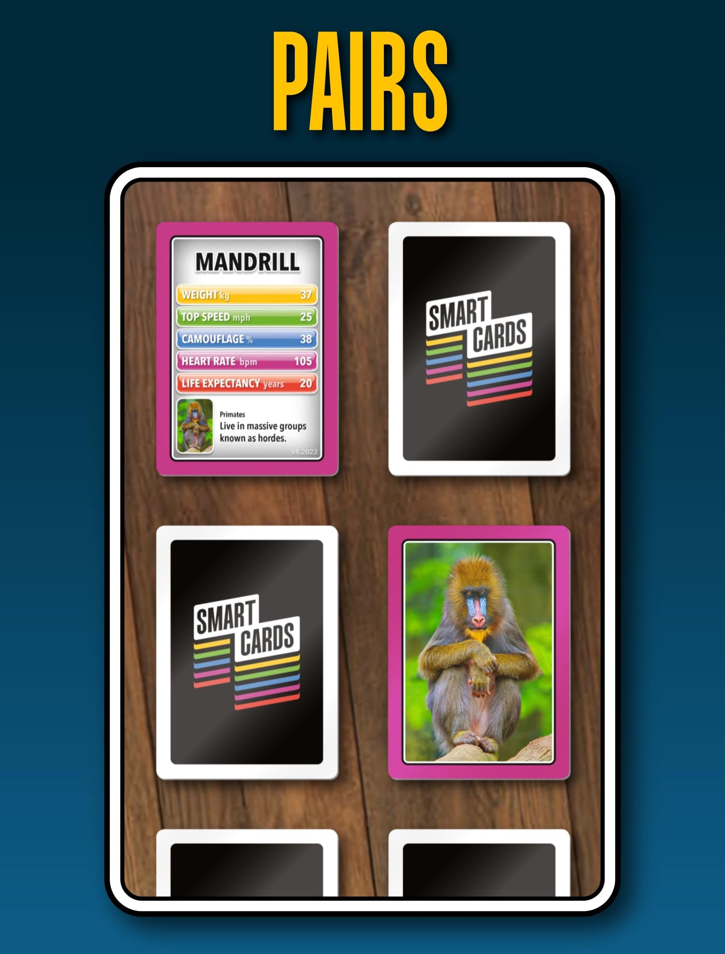 SMART CARDS Animals