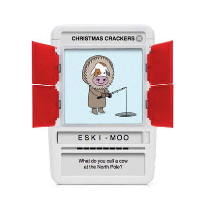 100 PICS Christmas Jokes Family Game - Secret Santa Stocking Fillers Xmas Gifts And Travel Card Games