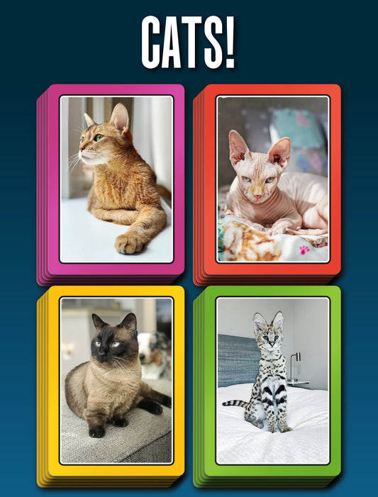 SMART CARDS Cats