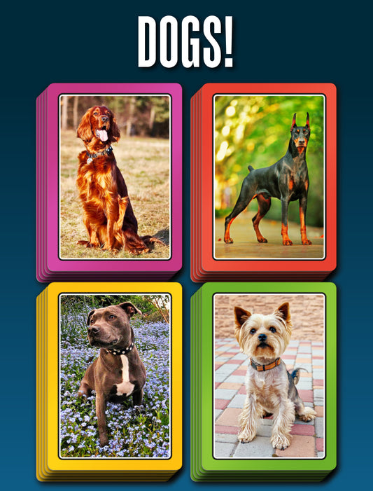 SMART CARDS Dogs