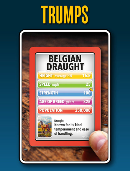 SMART CARDS Horses & Ponies