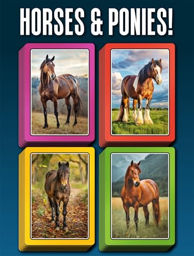SMART CARDS Horses & Ponies